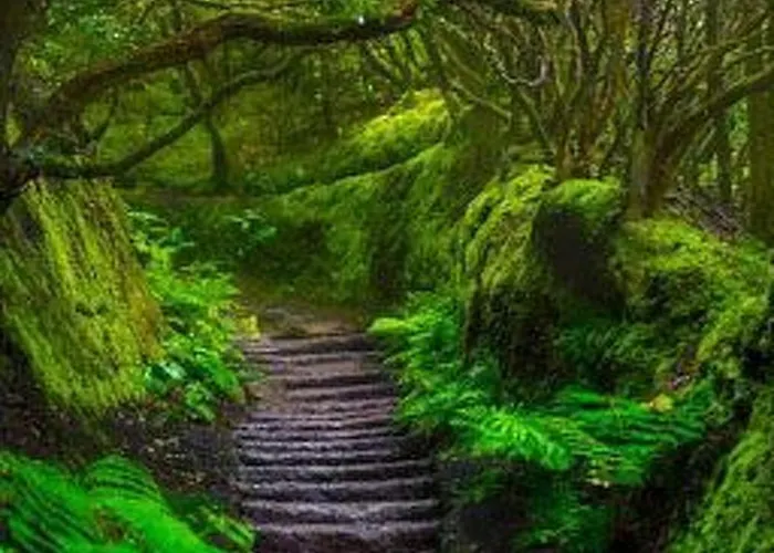 Apartment Schoene Radazul Meerblick By Interhome