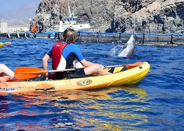 Schoene Meerblick By Interhome Daire El Rosario (Tenerife)