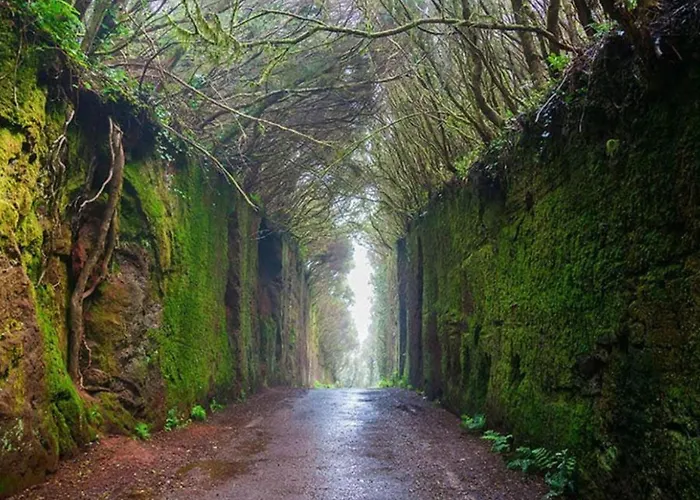 Schoene Meerblick By Interhome * El Rosario (Tenerife)
